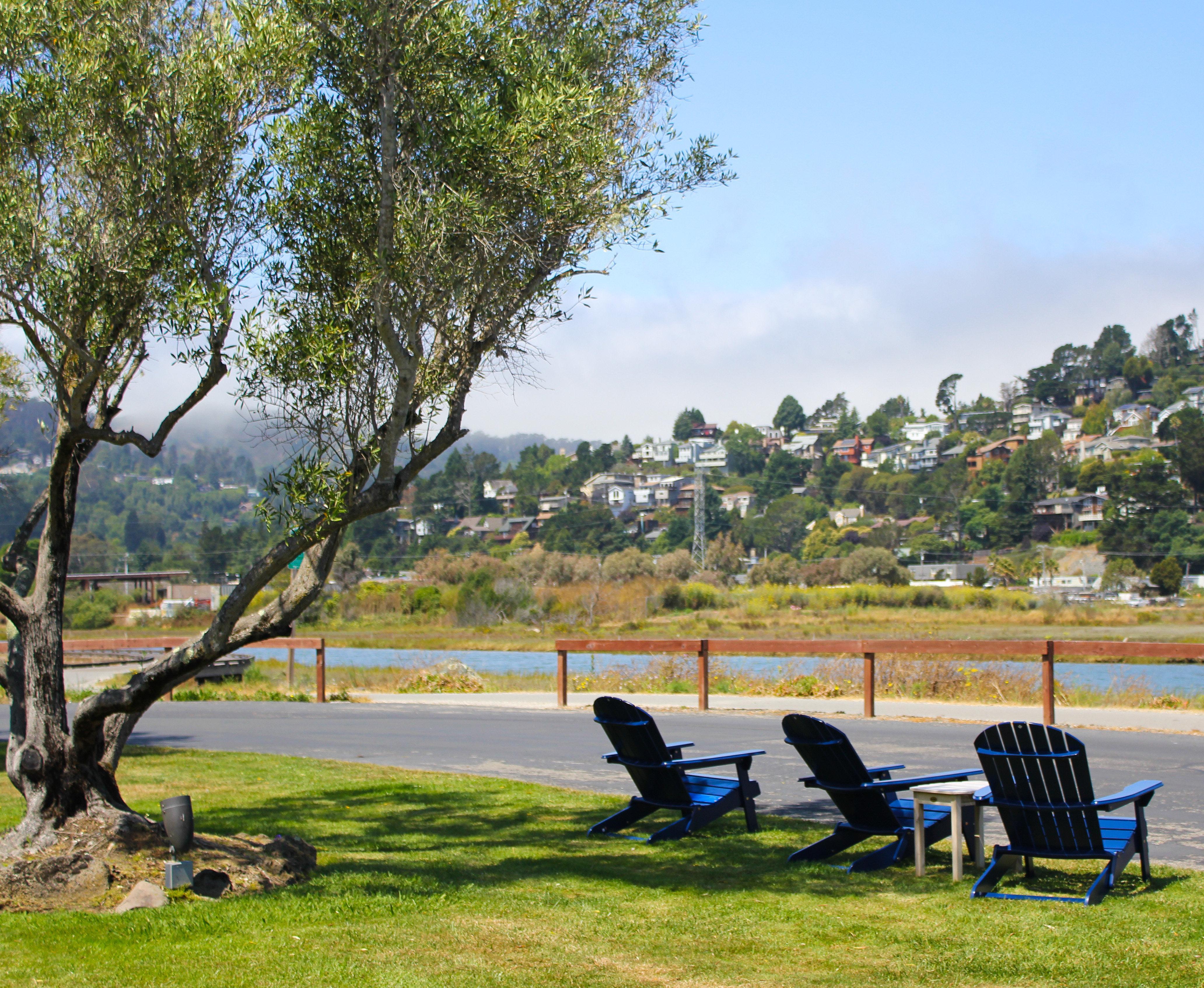 Holiday Inn Express Mill Valley San Francisco Area By Ihg Dış mekan fotoğraf