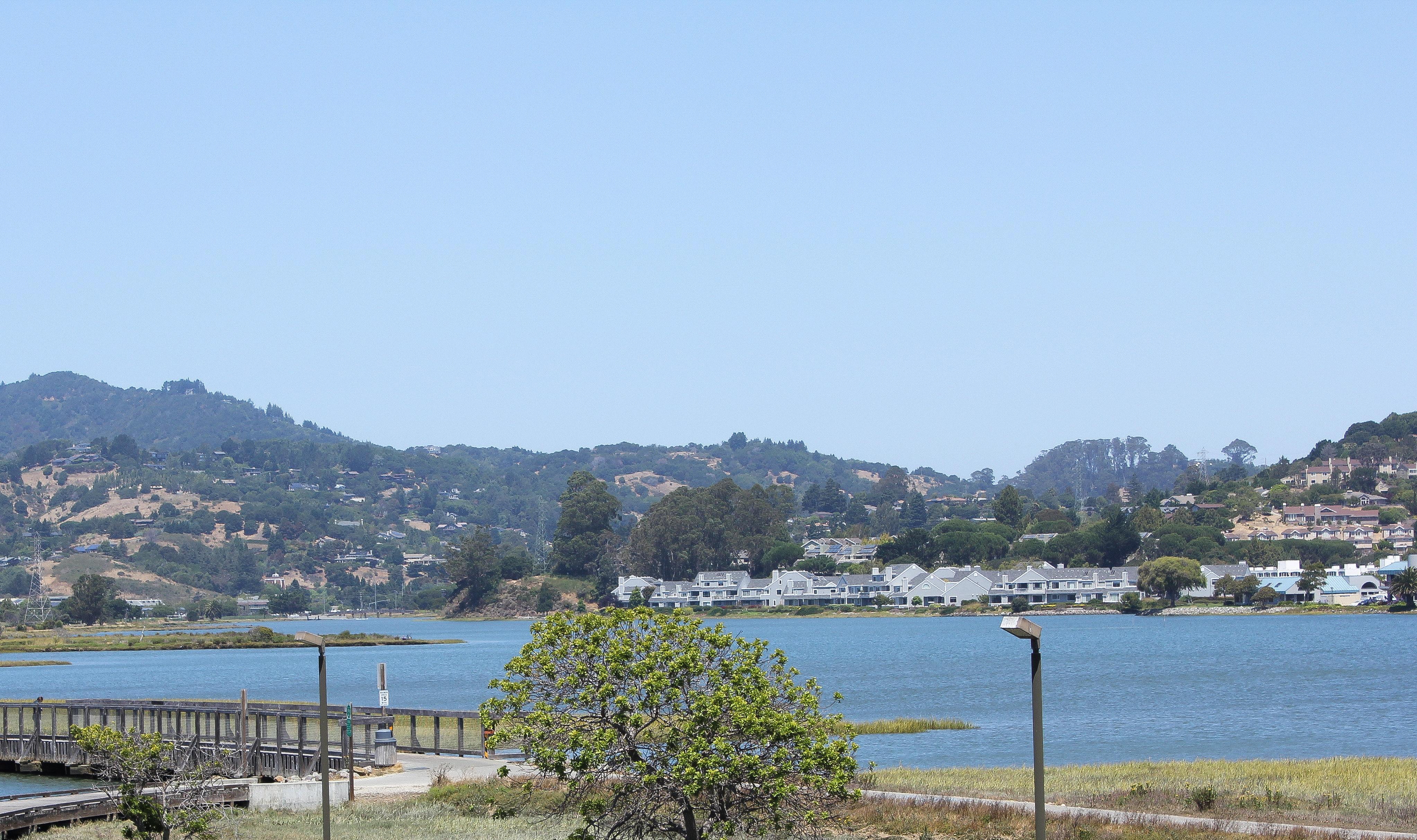Holiday Inn Express Mill Valley San Francisco Area By Ihg Dış mekan fotoğraf