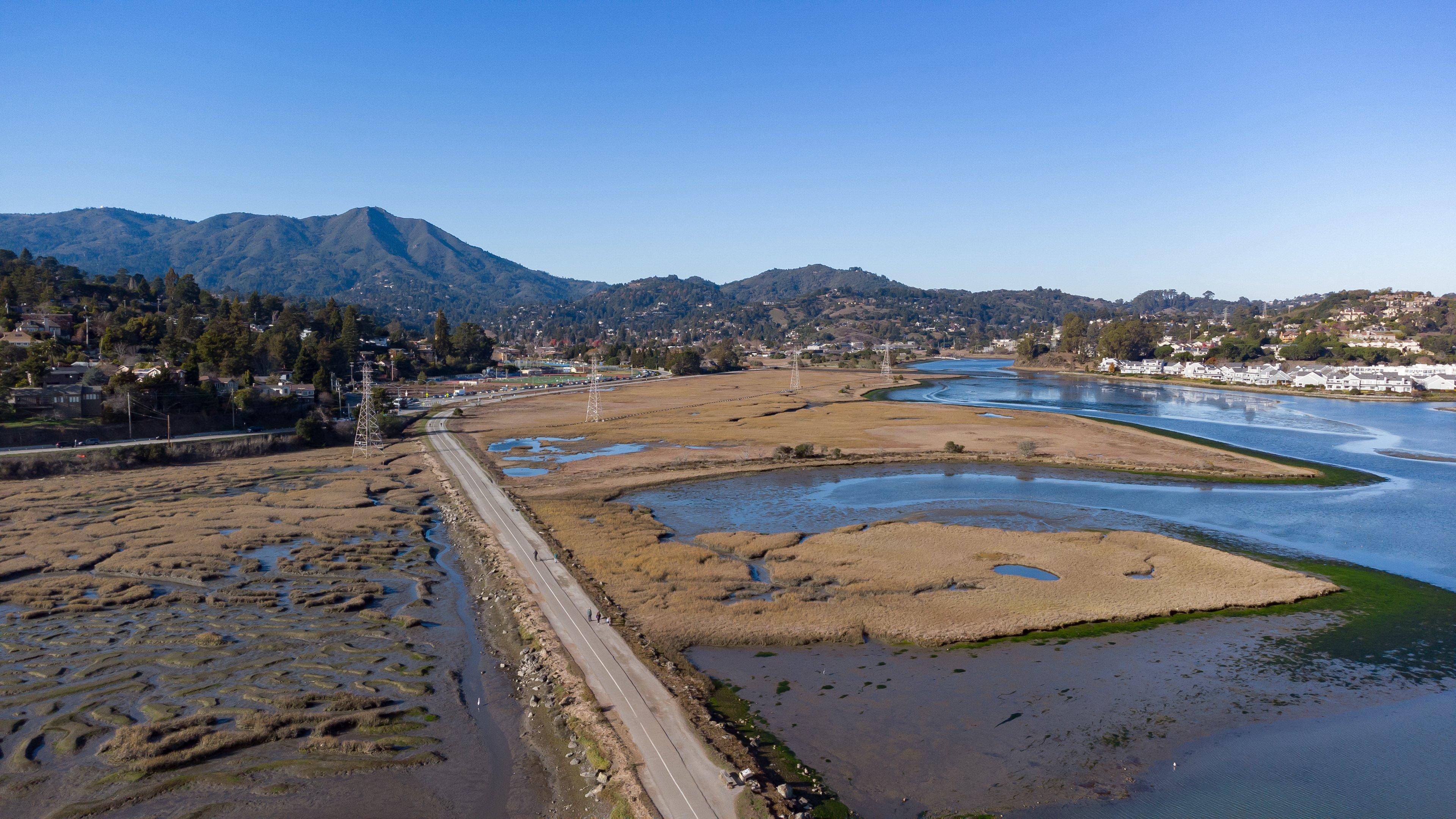 Holiday Inn Express Mill Valley San Francisco Area By Ihg Dış mekan fotoğraf